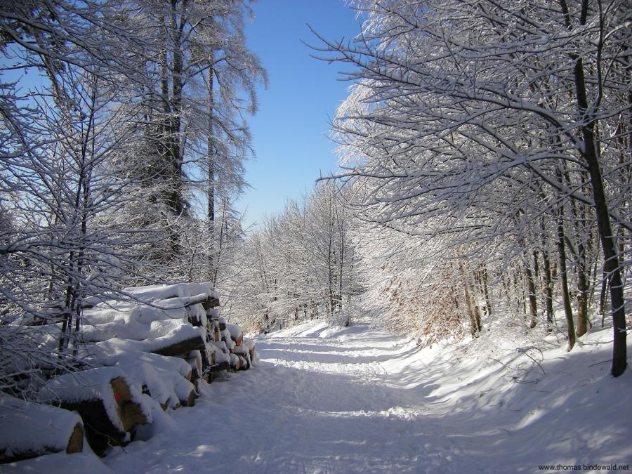 Snow in Switzerland - TRAVEL PLACES 24X7