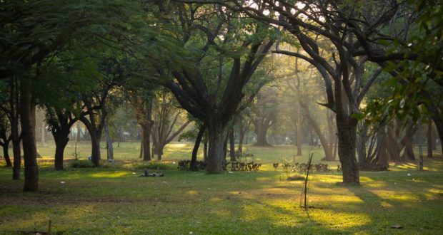 Visit in Bangalore