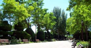 Visit in Burgos