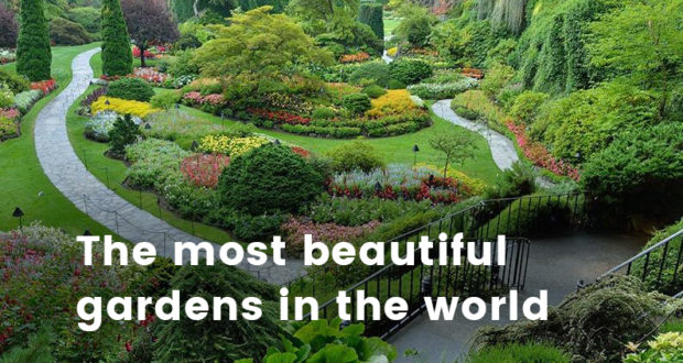 Beautiful Gardens