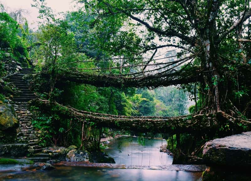 Mawlynnong, Meghalaya