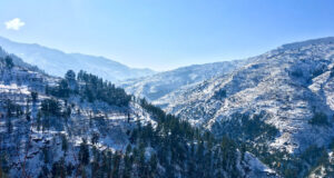 visit in Shimla